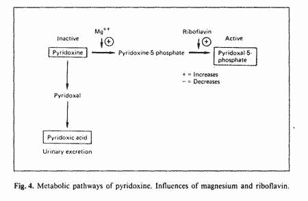 Guy Abraham Figure 4