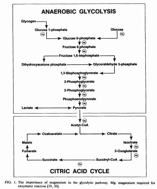 Guy Abraham Figure 1